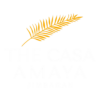 the casa amaya 8 removebg preview